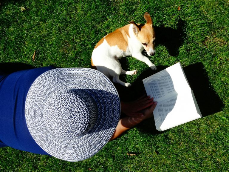 ​So Pflegen Sie Ihre Hunde an Heißen Sommertagen​