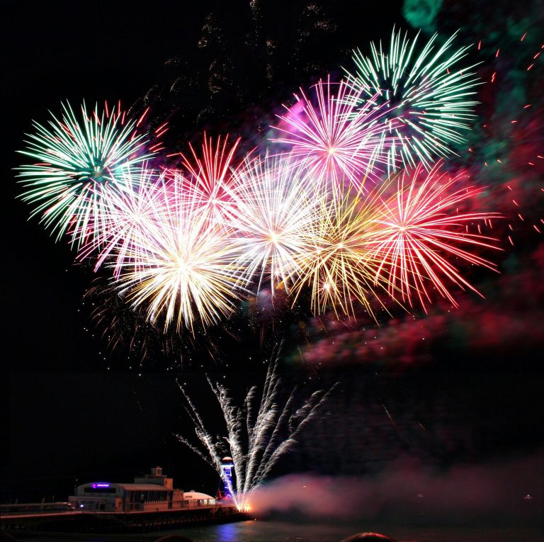 So bereiten Sie Ihren Vierbeiner auf Silvester Feuerwerk vor